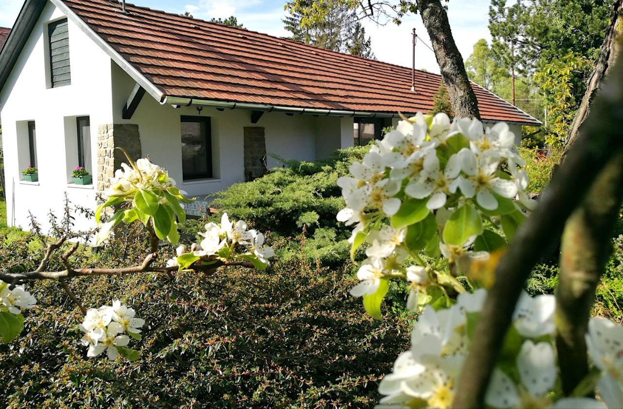Palkovics Vendeghaz Dunabogdány Exterior foto