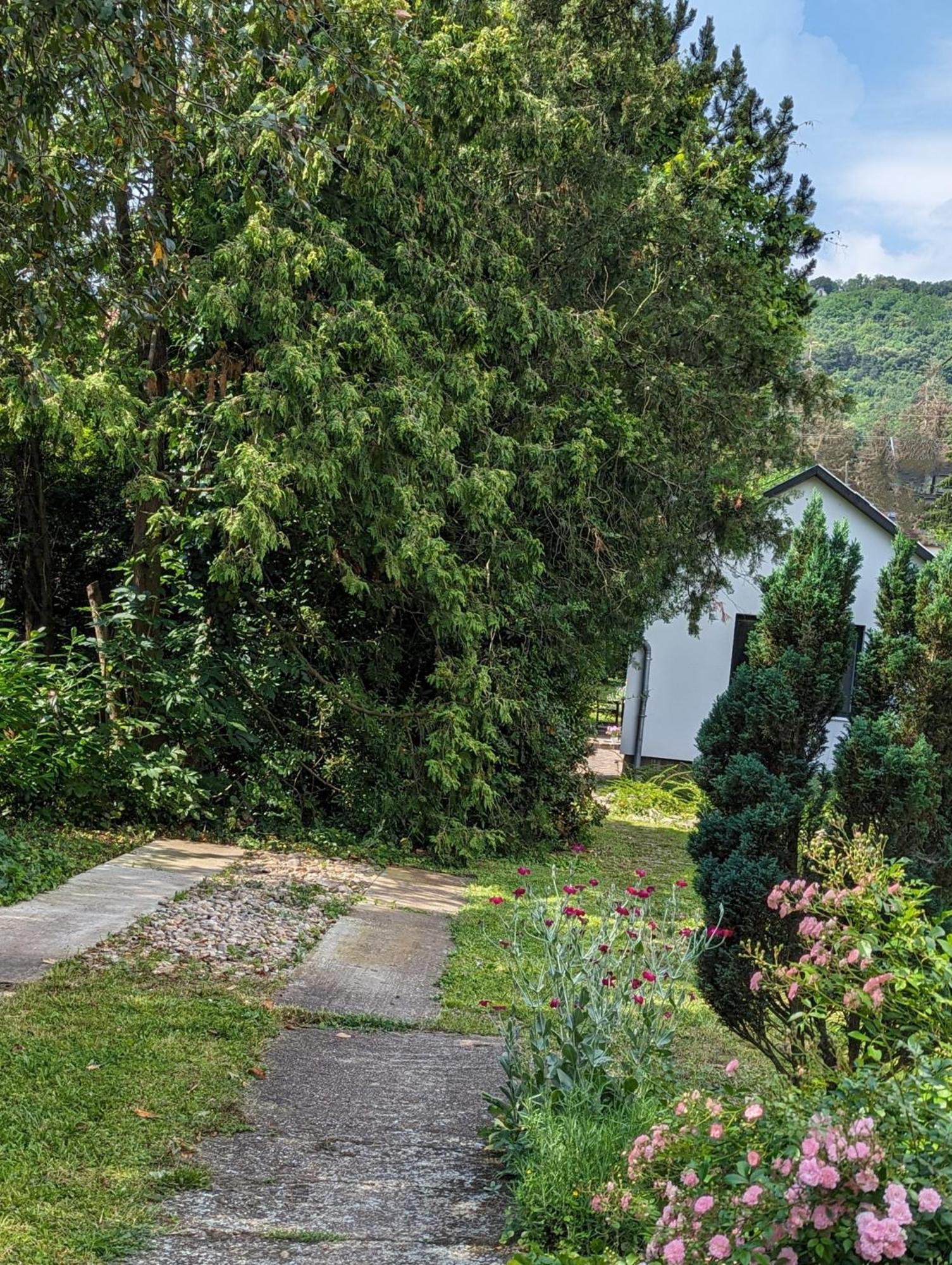 Palkovics Vendeghaz Dunabogdány Exterior foto